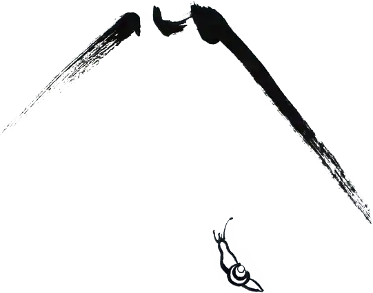 zeichnung schnecke 01